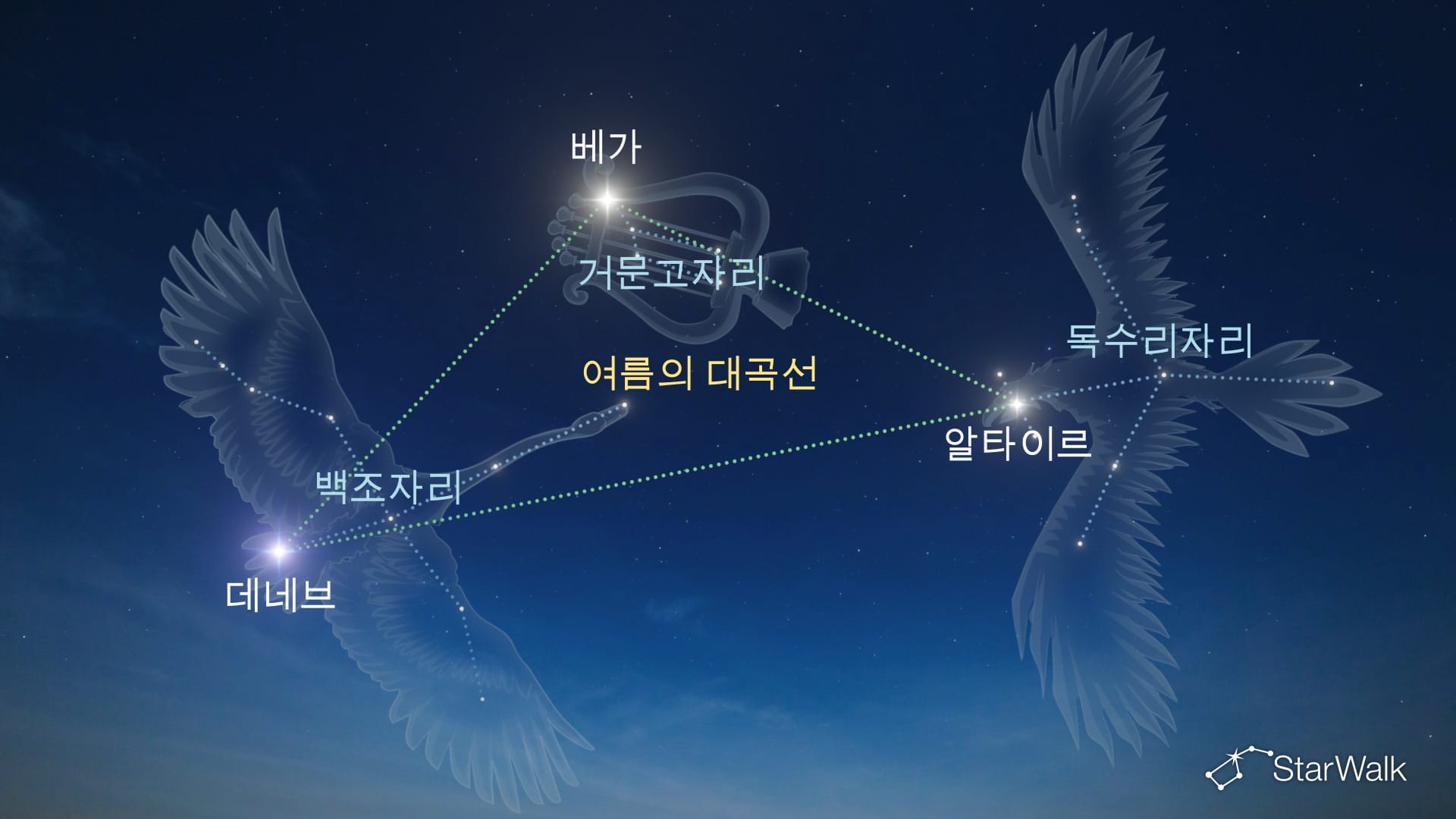베가 찾는 방법