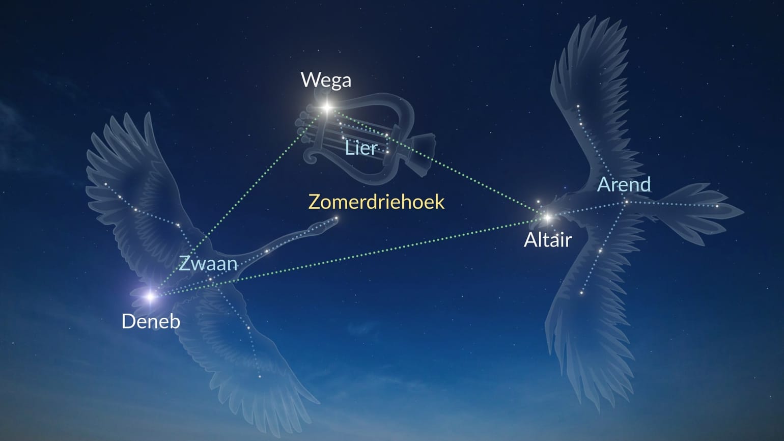 Wat is de helderste ster aan de hemel | Naam helderste ster | Star Walk