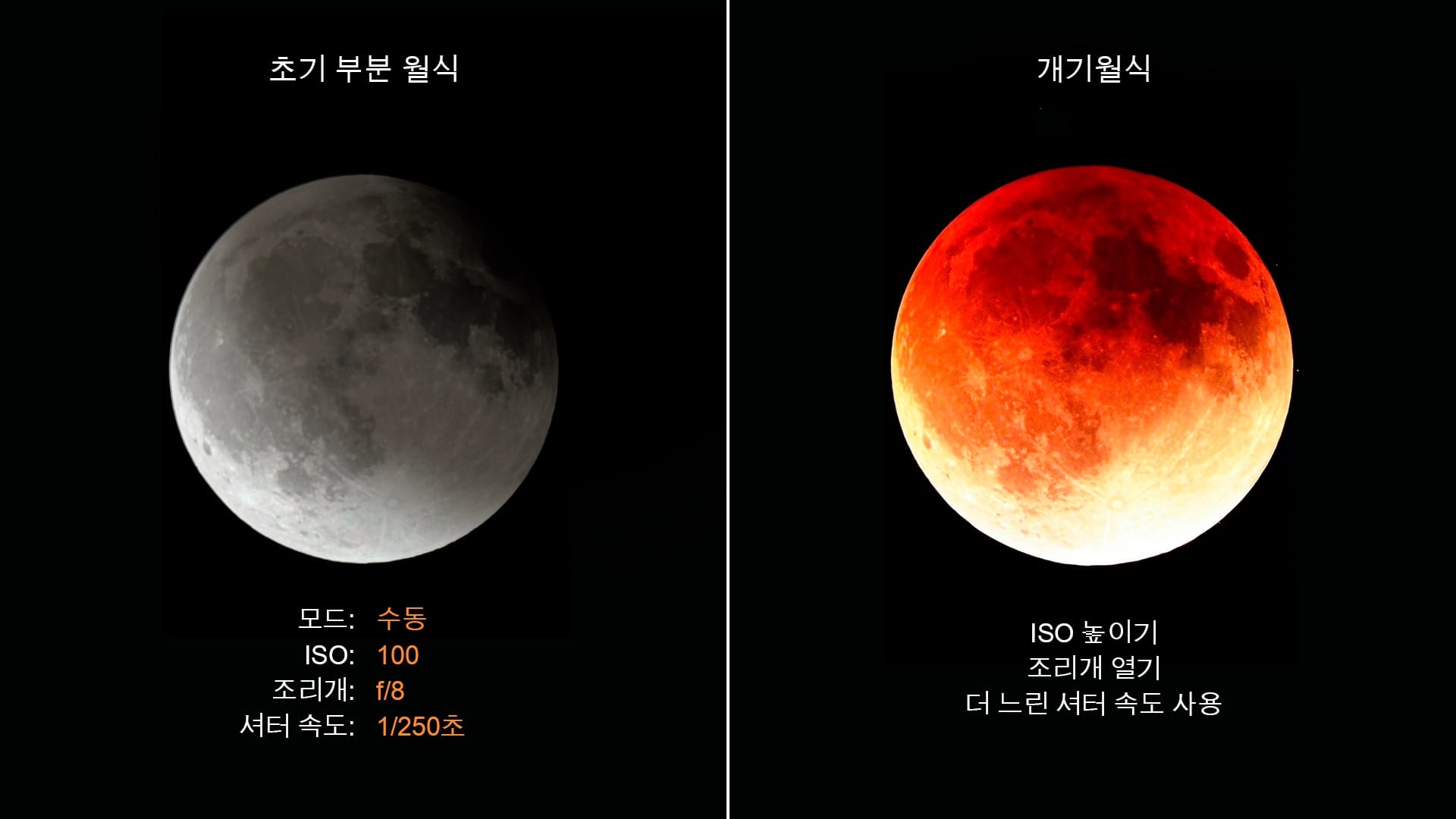 월식 사진: 카메라 설정