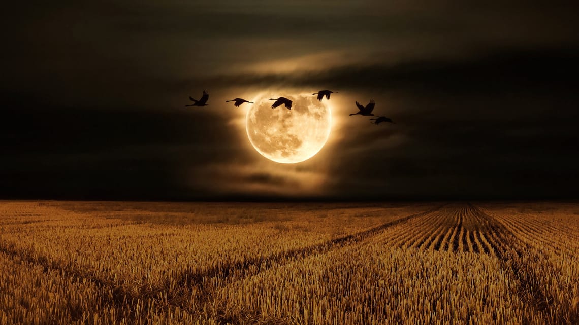 Full Moon In October 2024 Hunters Moon Roxi Wendie