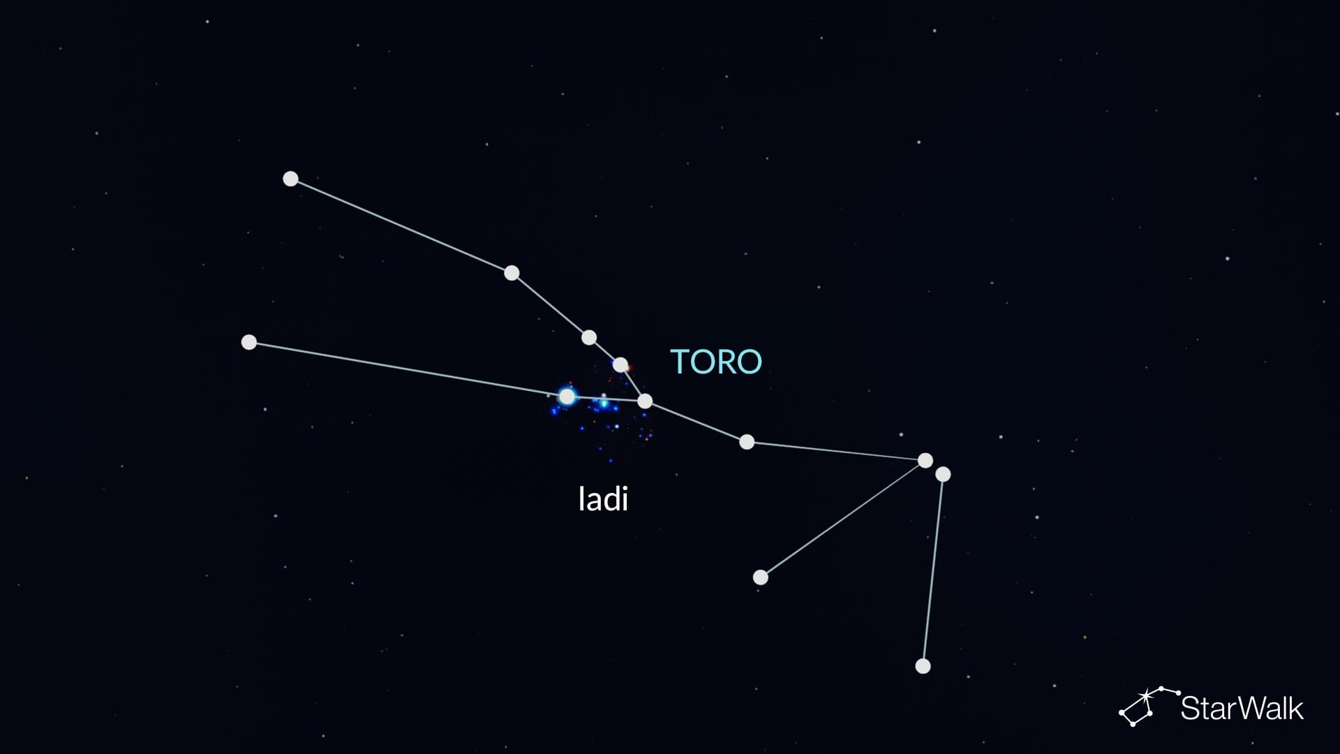 Iadi nel Toro