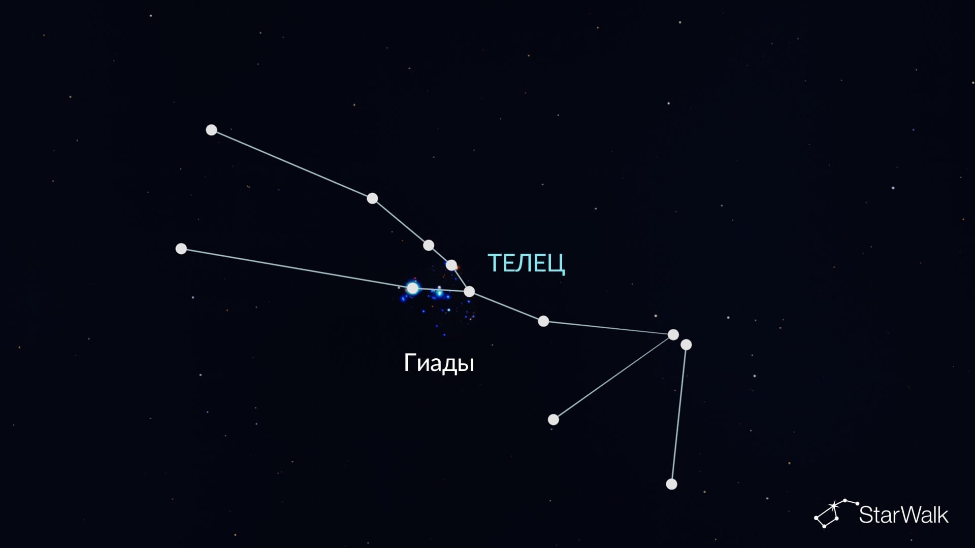 Гиады в Тельце