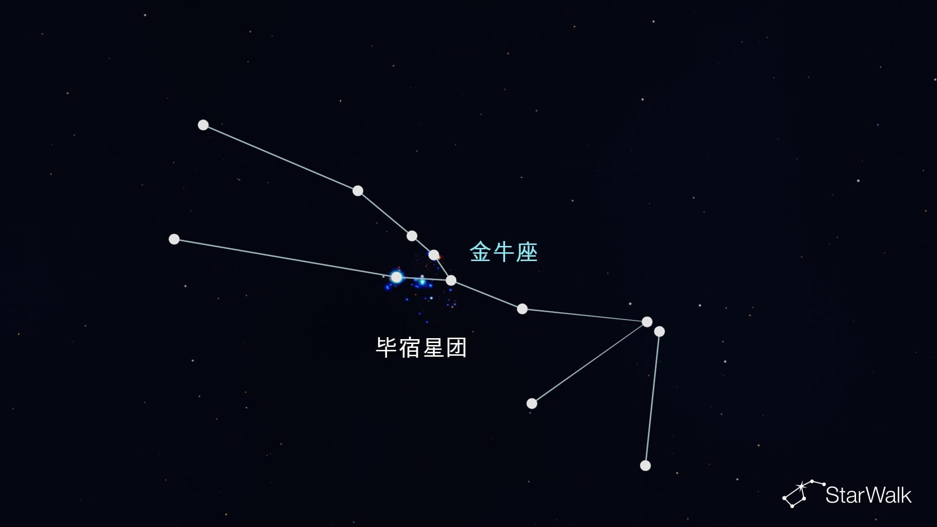 金牛座中的毕宿星团