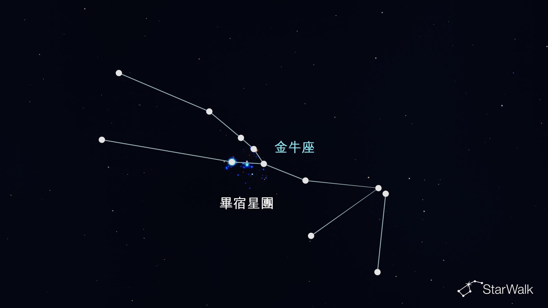 金牛座中的畢宿星團