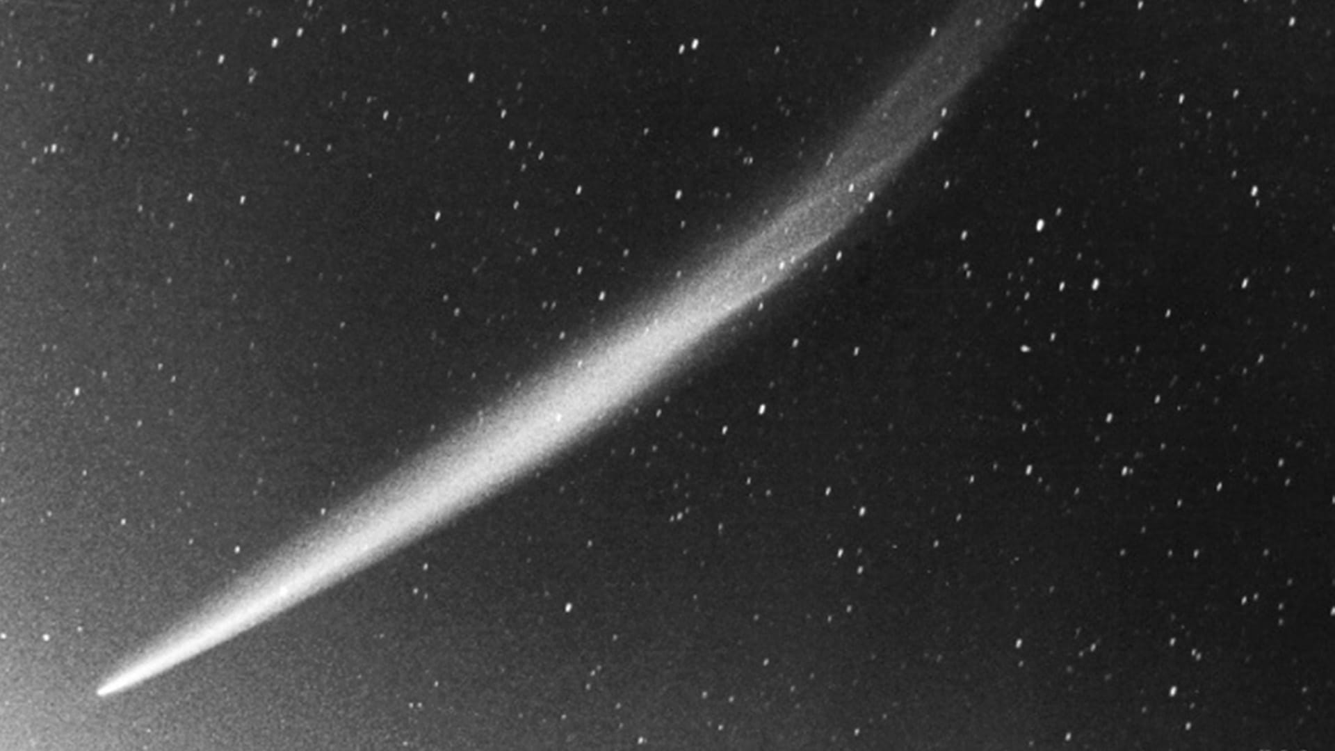 Comet C/1965 S1 (Ikeya-Seki)