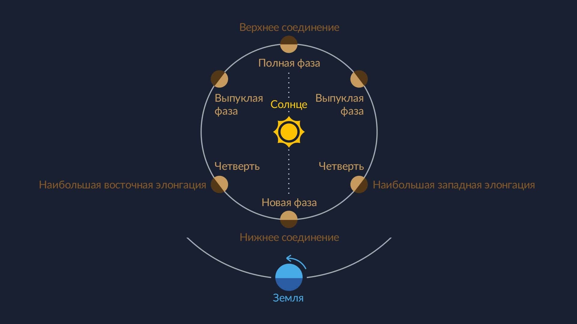 Фазы внутренних планет (Меркурия и Венеры).