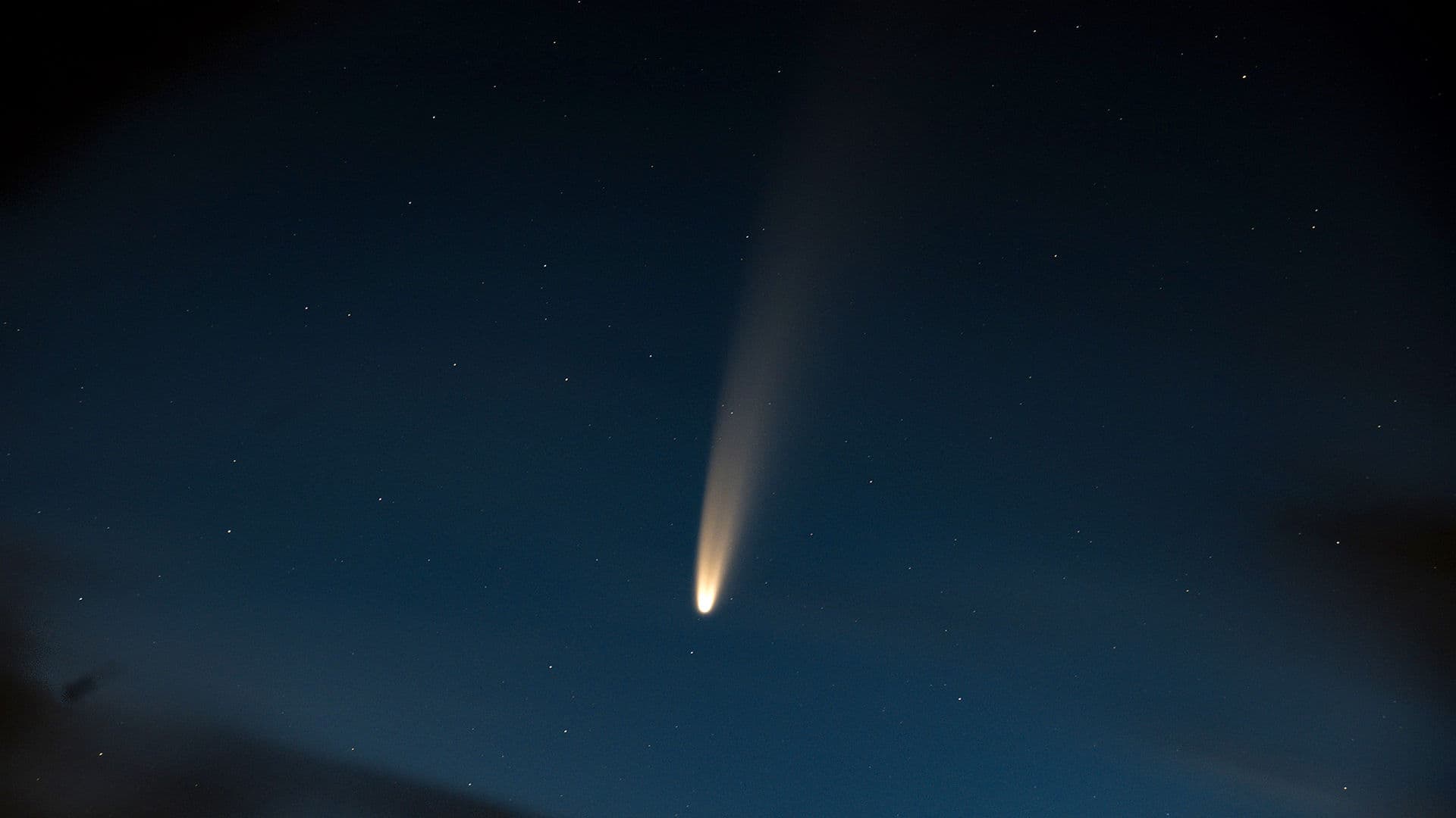 Everything You Wanted to Know About Comet NEOWISE Star Walk