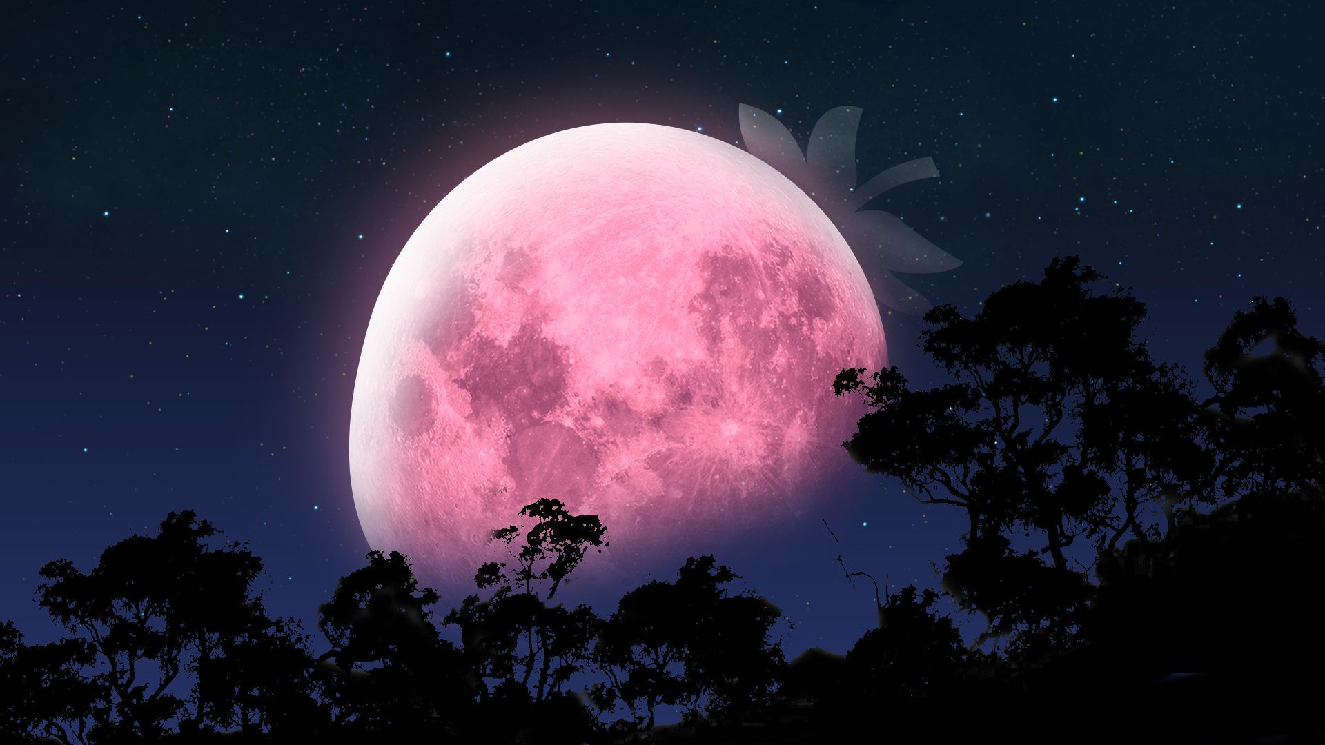 Strawberry Moon 2024 June 22 Merla Rachel