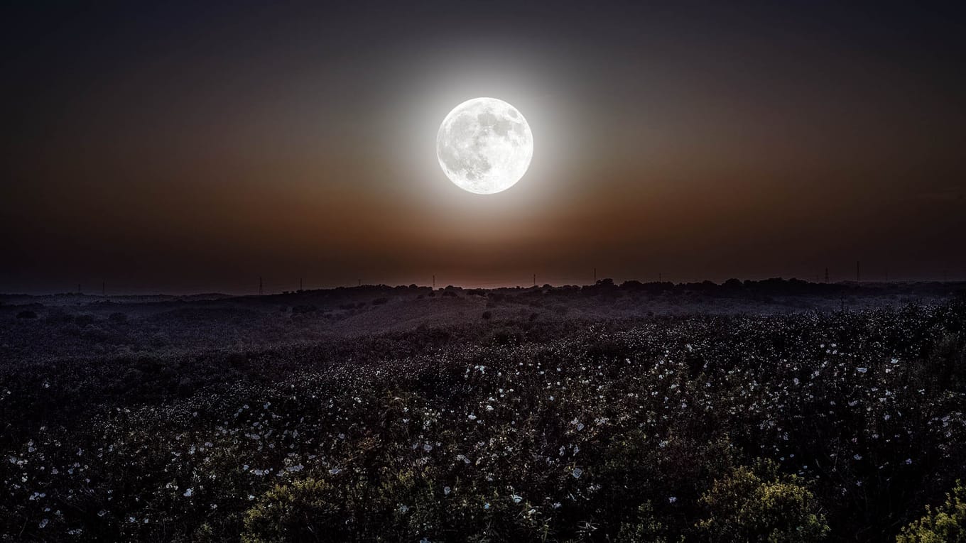 SuperErdbeermond im Juni 2022 Vollmond im Juni Erdbeermond Wann ist Vollmond Star Walk SuperErdbeermond im Juni 2022 Vollmond im Juni Erdbeermond Wann ist Vollmond Star Walk