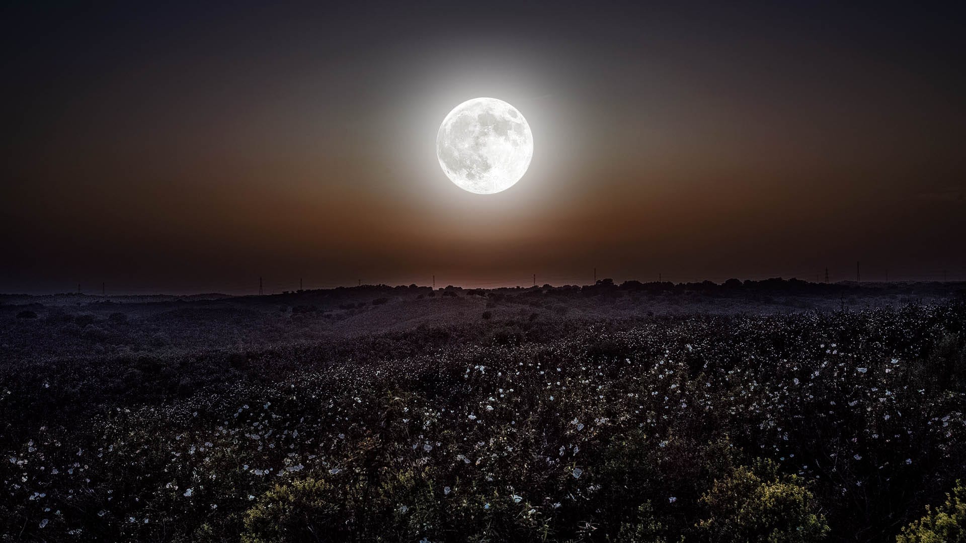 Luna llena en junio de 2022: superluna de fresa