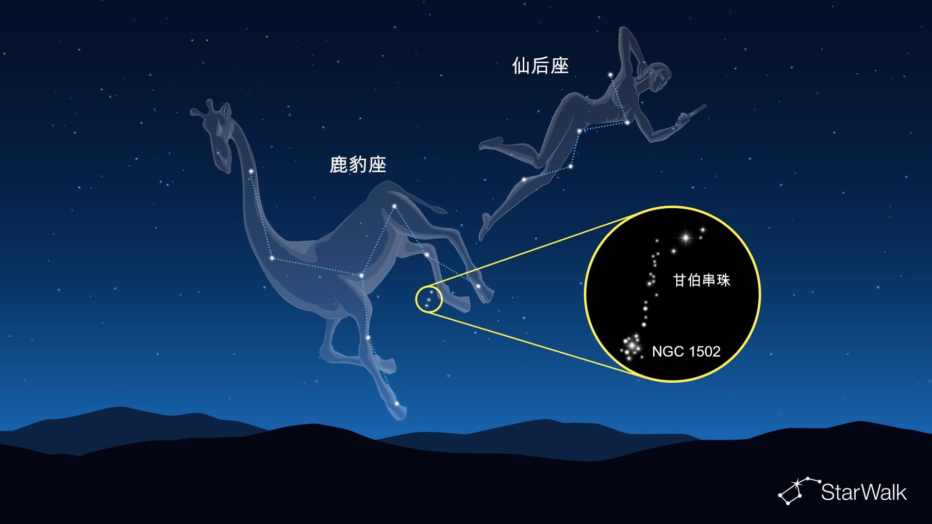 鹿豹座中的甘伯串珠