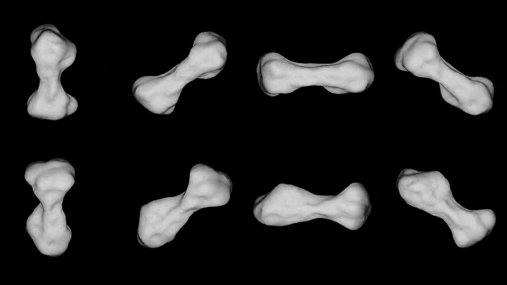 小惑星クレオパトラ：犬の骨のような形をした小惑星