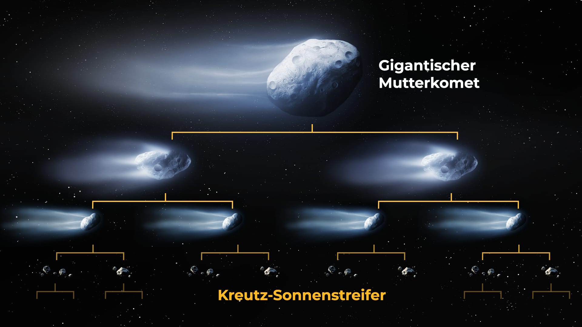 Stammbaum der Kreutz-Sonnenstreifer