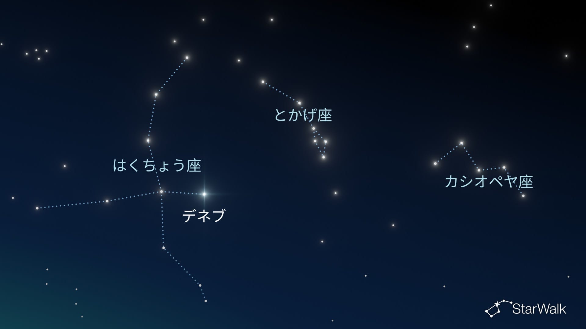 北半球でのとかげ座の探し方