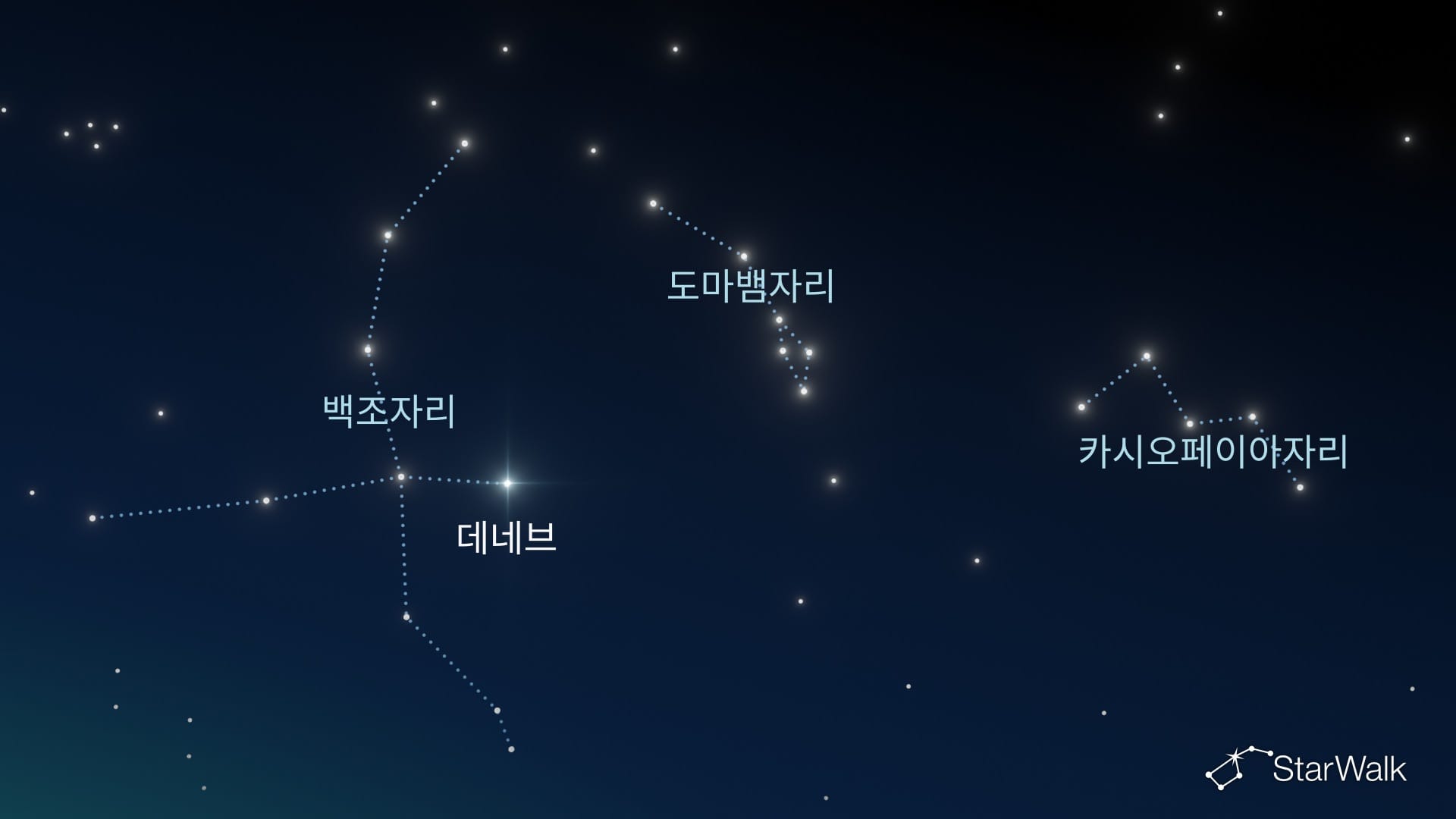 북반구에서 도마뱀자리 찾는 방법