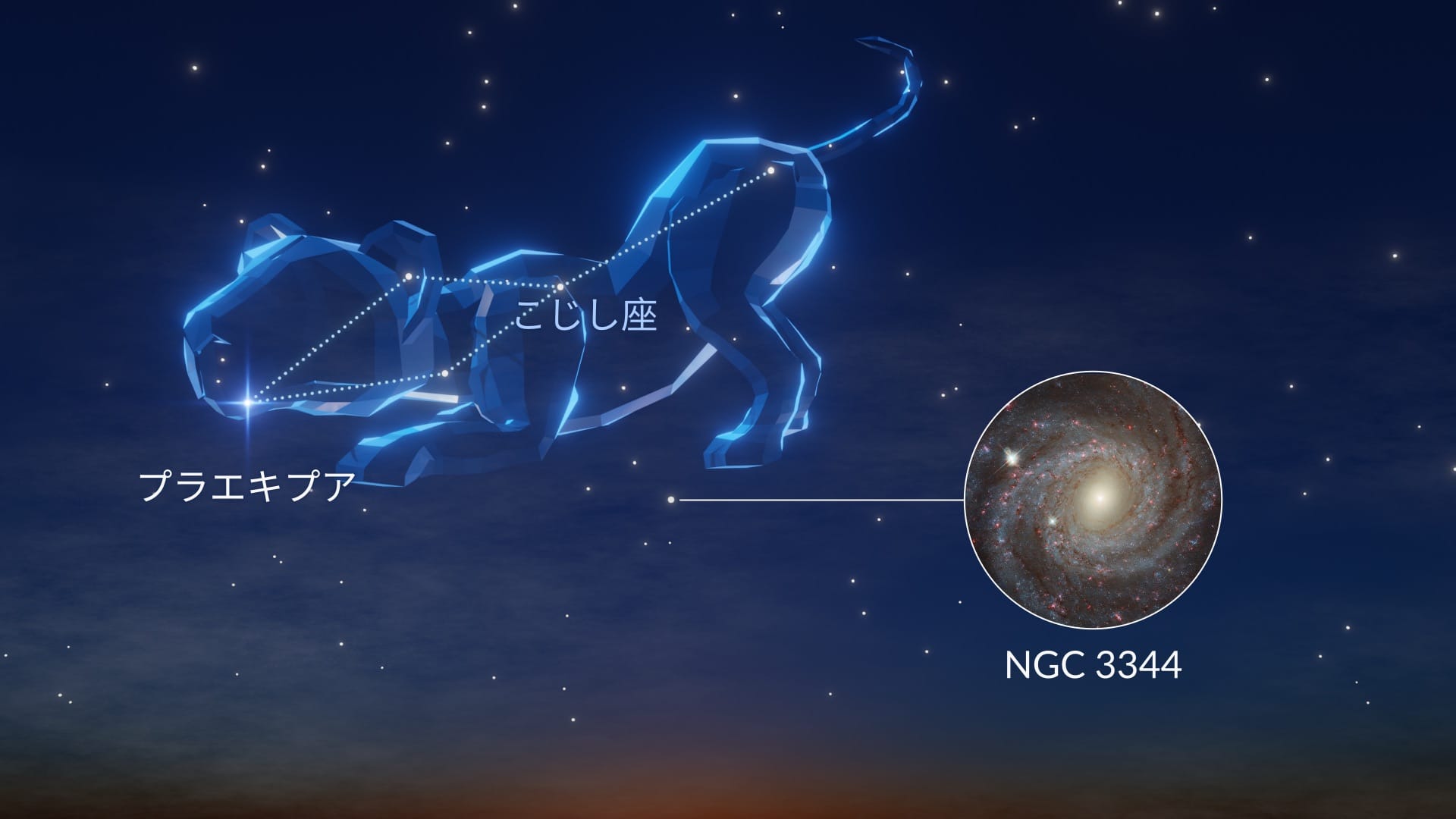 こじし座:最も明るい恒星と注目すべき深空天体