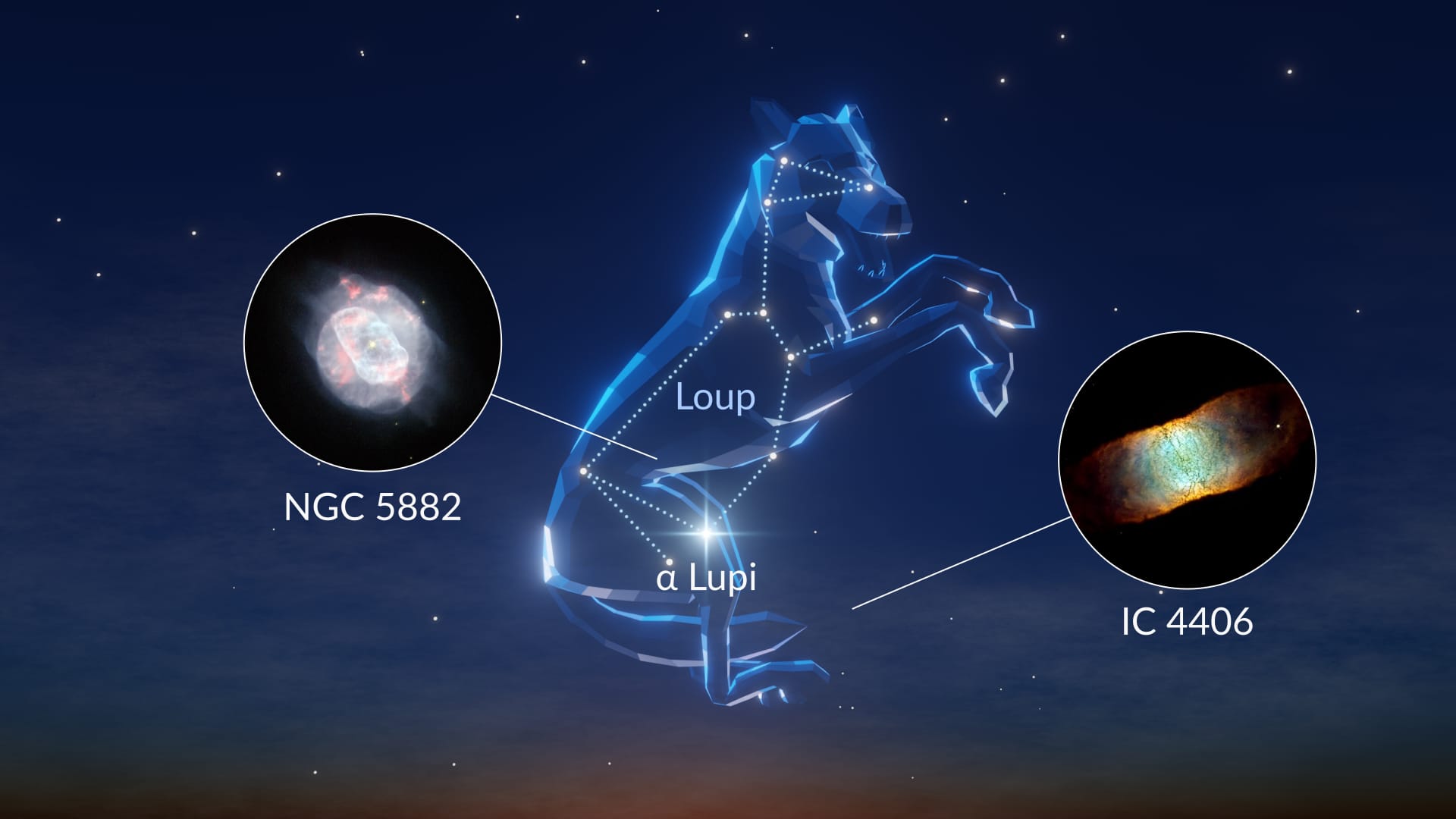 Constellation Lupus