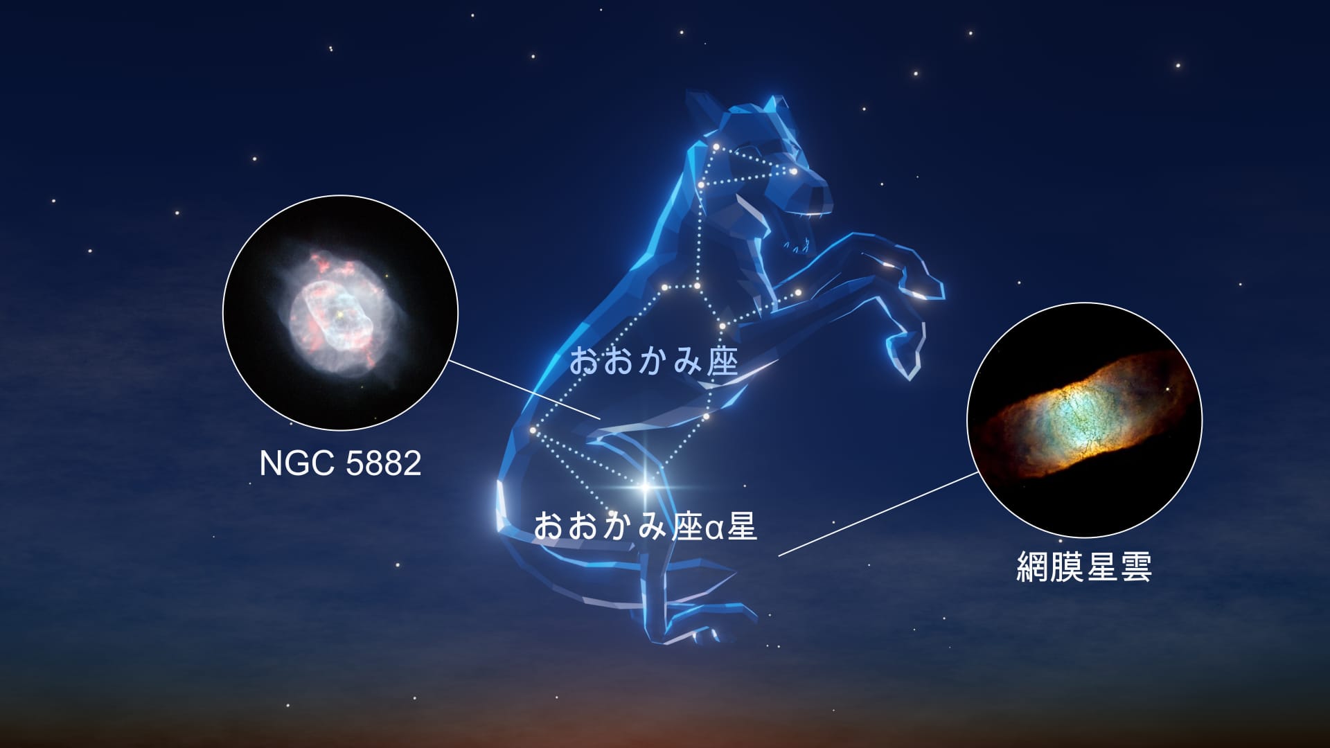 Constellation Lupus
