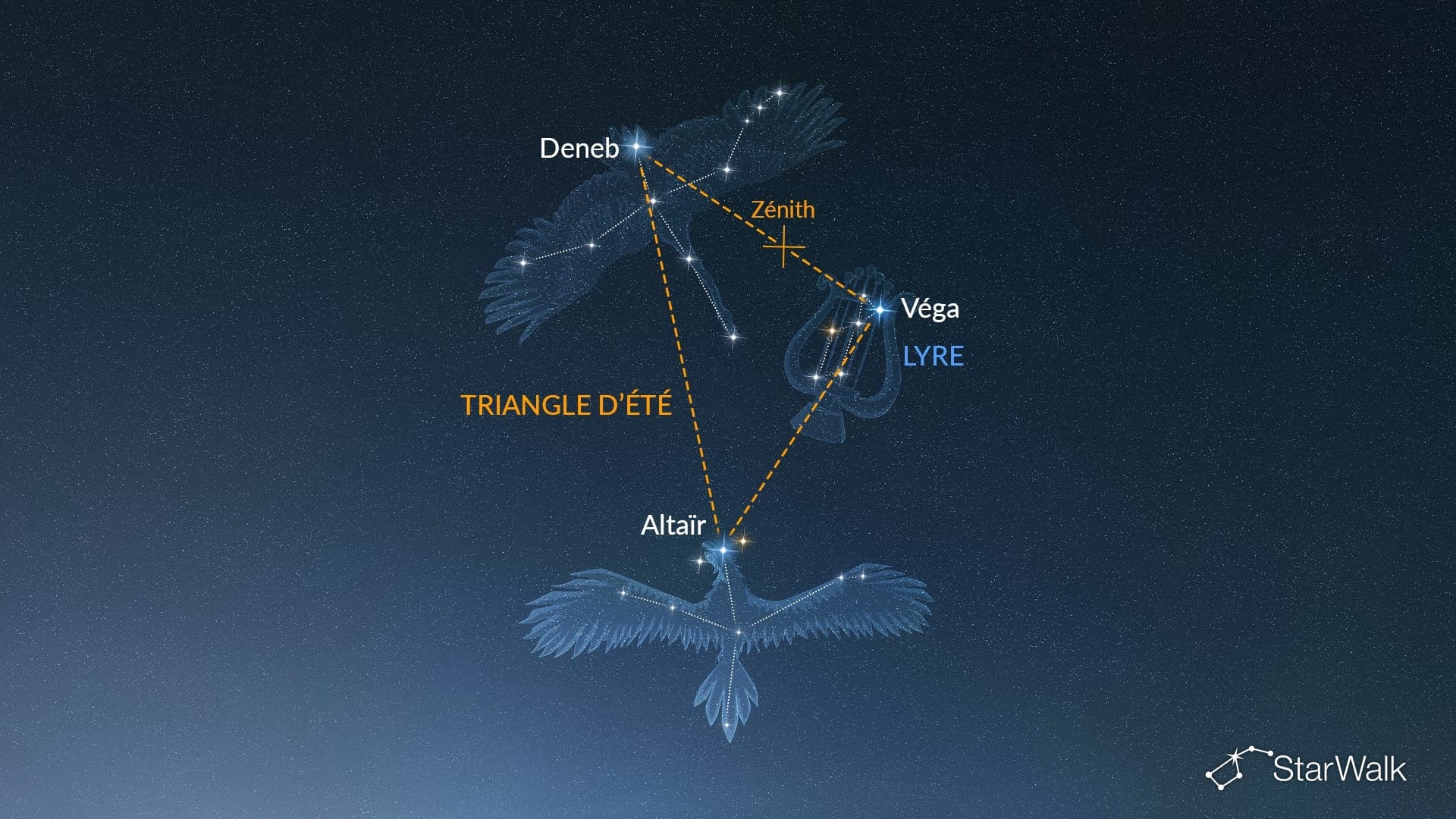 Comment trouver la Lyre dans l’hémisphère Nord