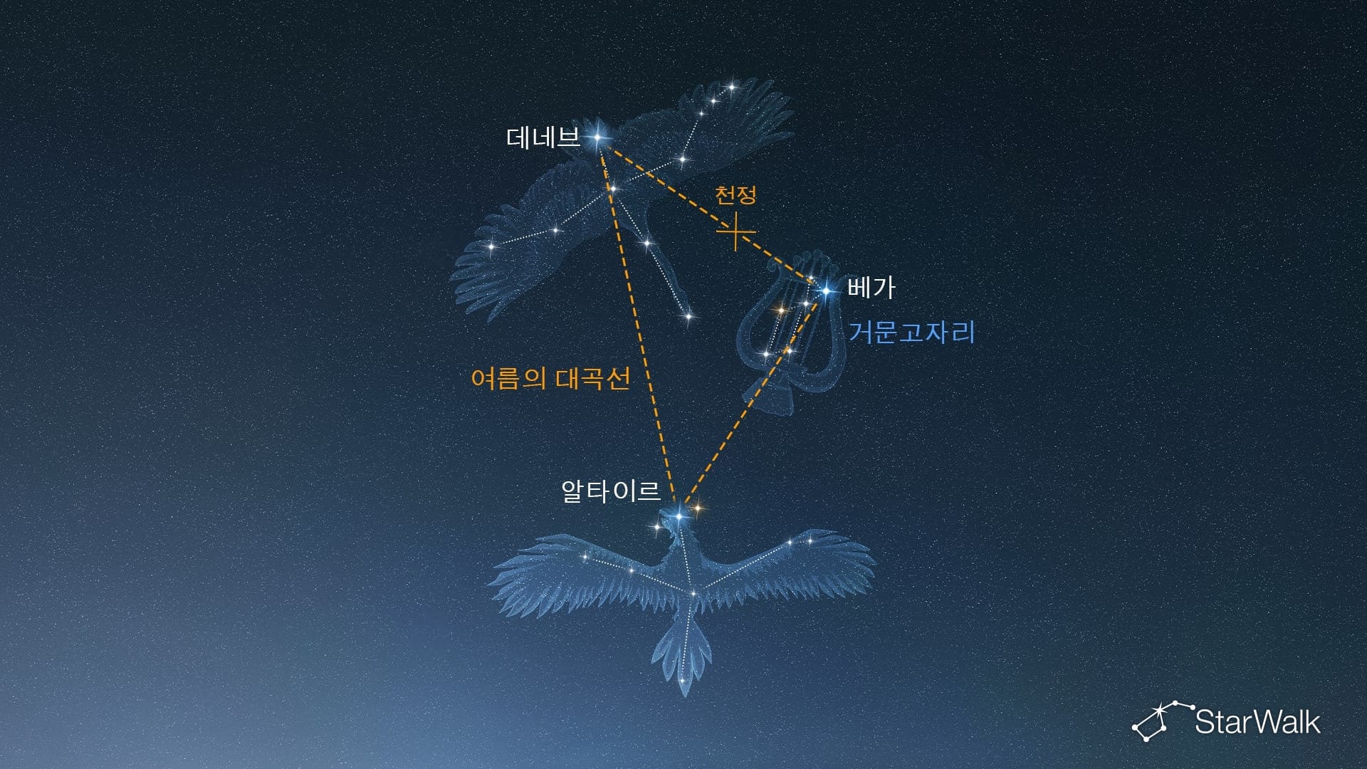 북반구에서 거문고자리를 찾는 방법