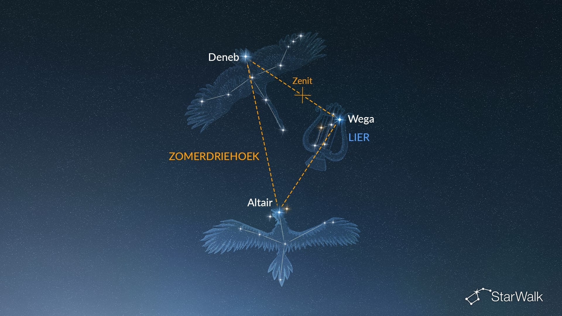 Zo vind je Lier op het noordelijk halfrond