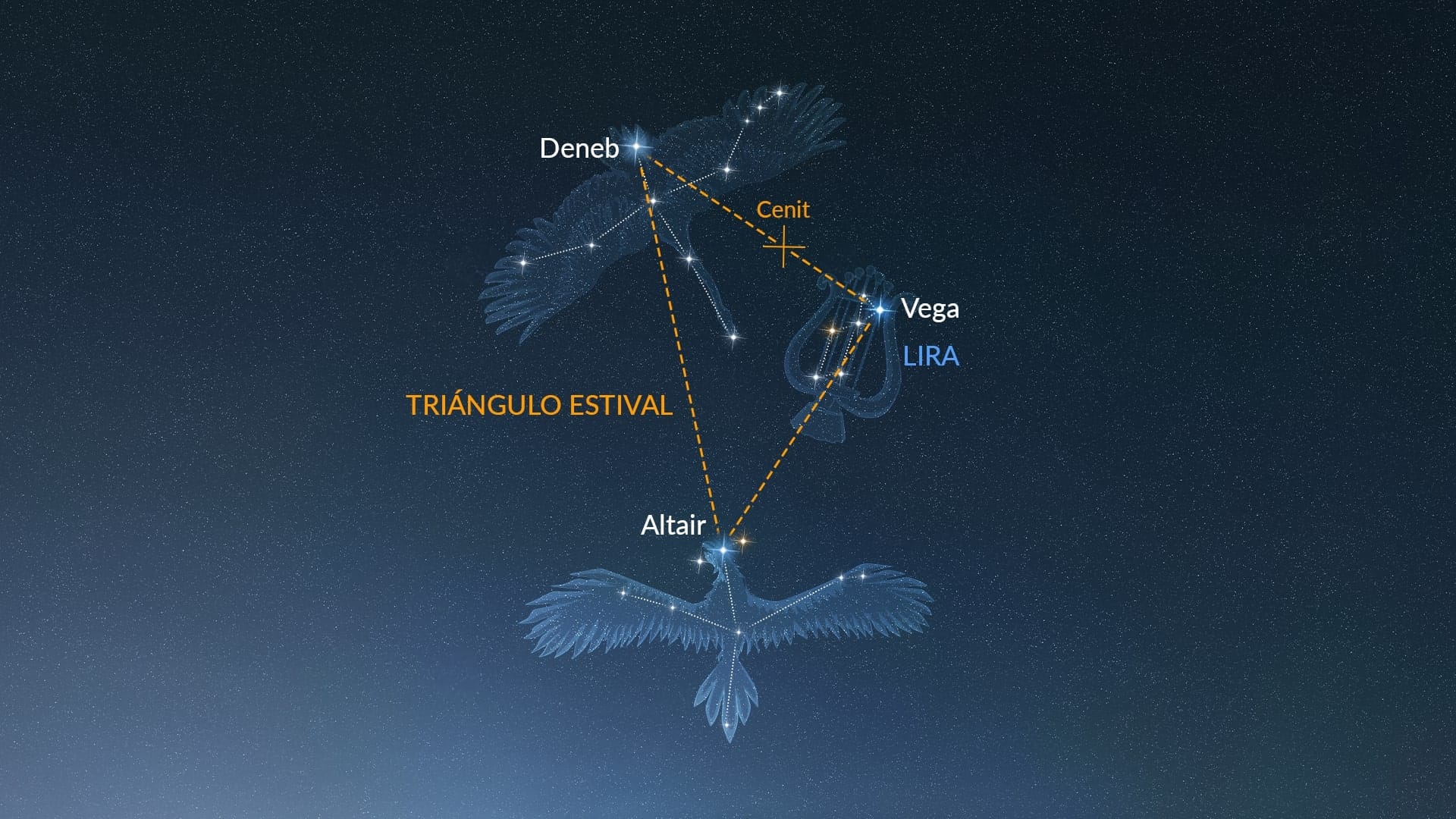 Lyra (Northern Hemisphere)