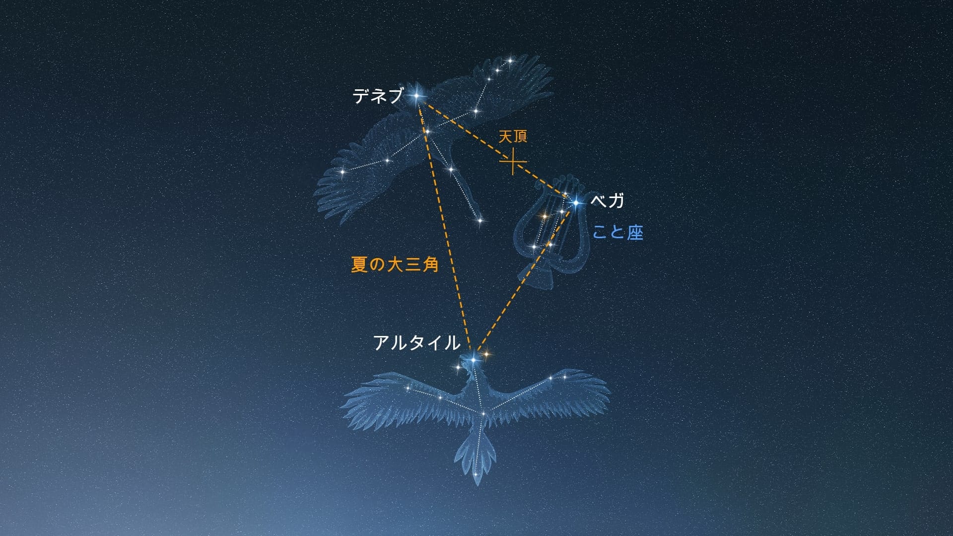 Lyra (Northern Hemisphere)