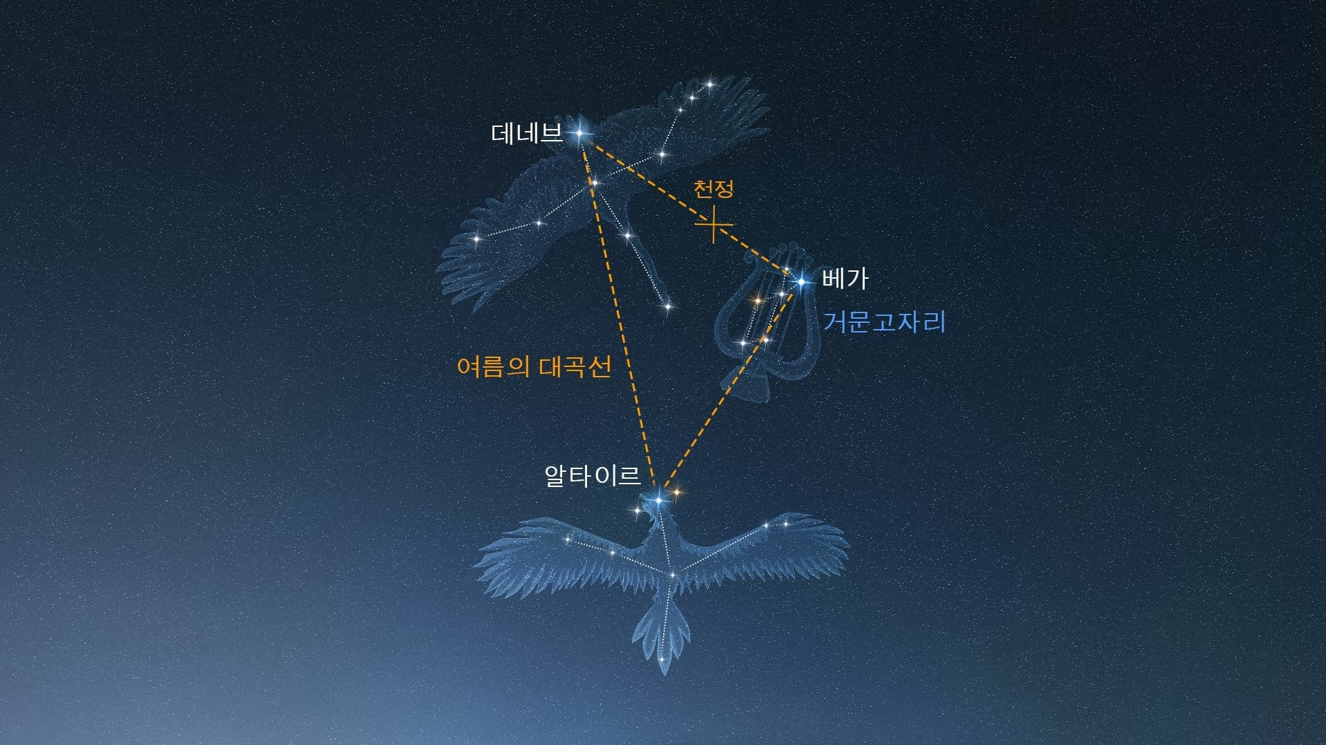 Lyra (Northern Hemisphere)
