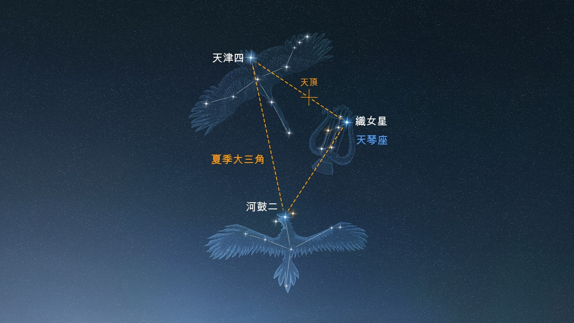 Lyra (Northern Hemisphere)