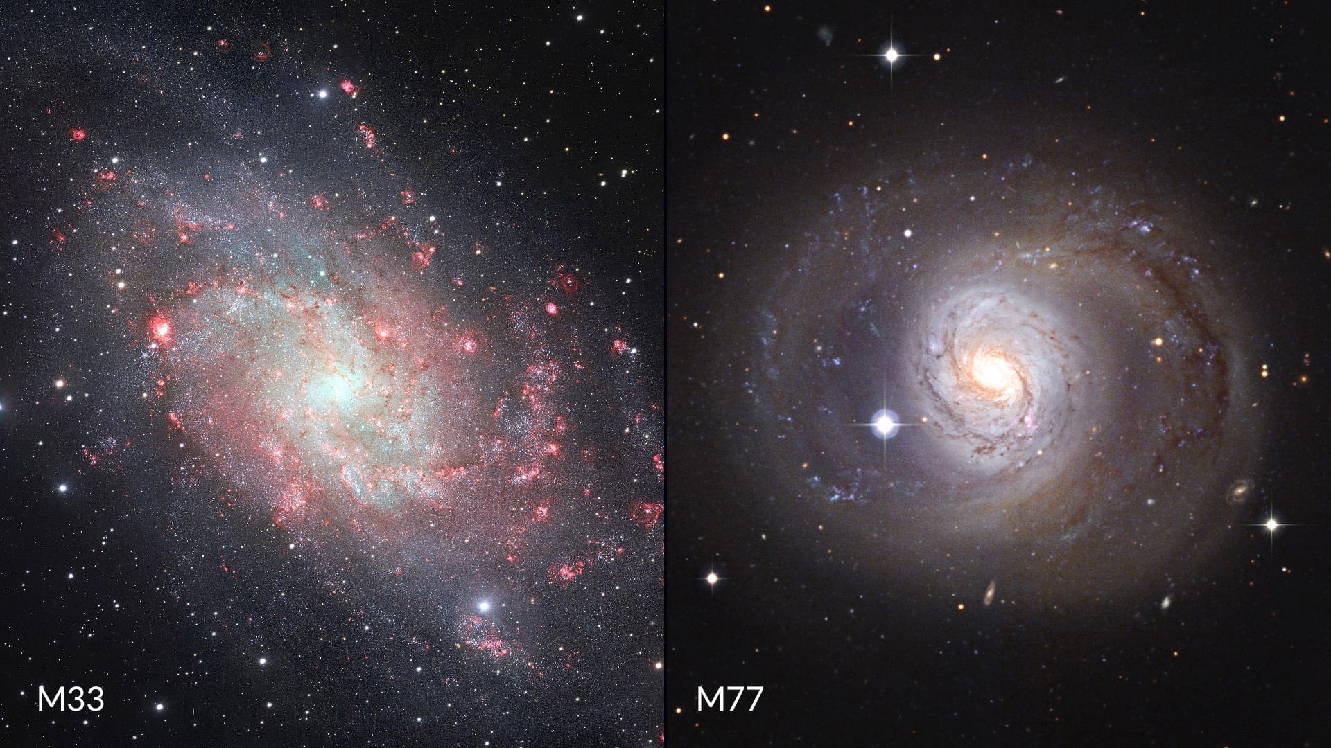 M33 vs M77