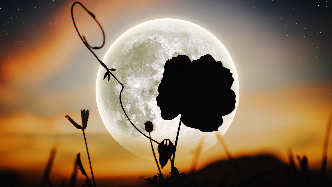 Full Flower Moon The Last Supermoon Of 2020 Star Walk