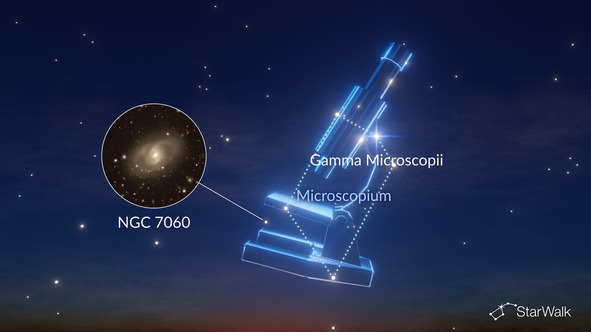 Microscopium Constellation