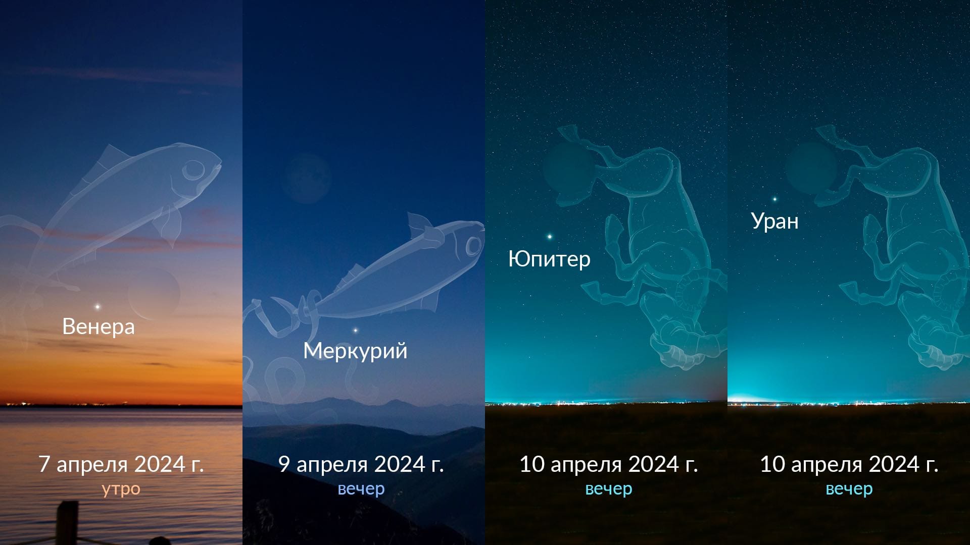 Когда полнолуние | Полнолуния 2024 | Когда полнолуние в этом месяце ...
