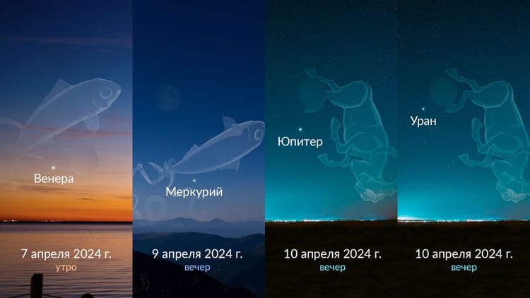 Когда полнолуние | Полнолуния 2024 | Когда полнолуние в этом месяце ...