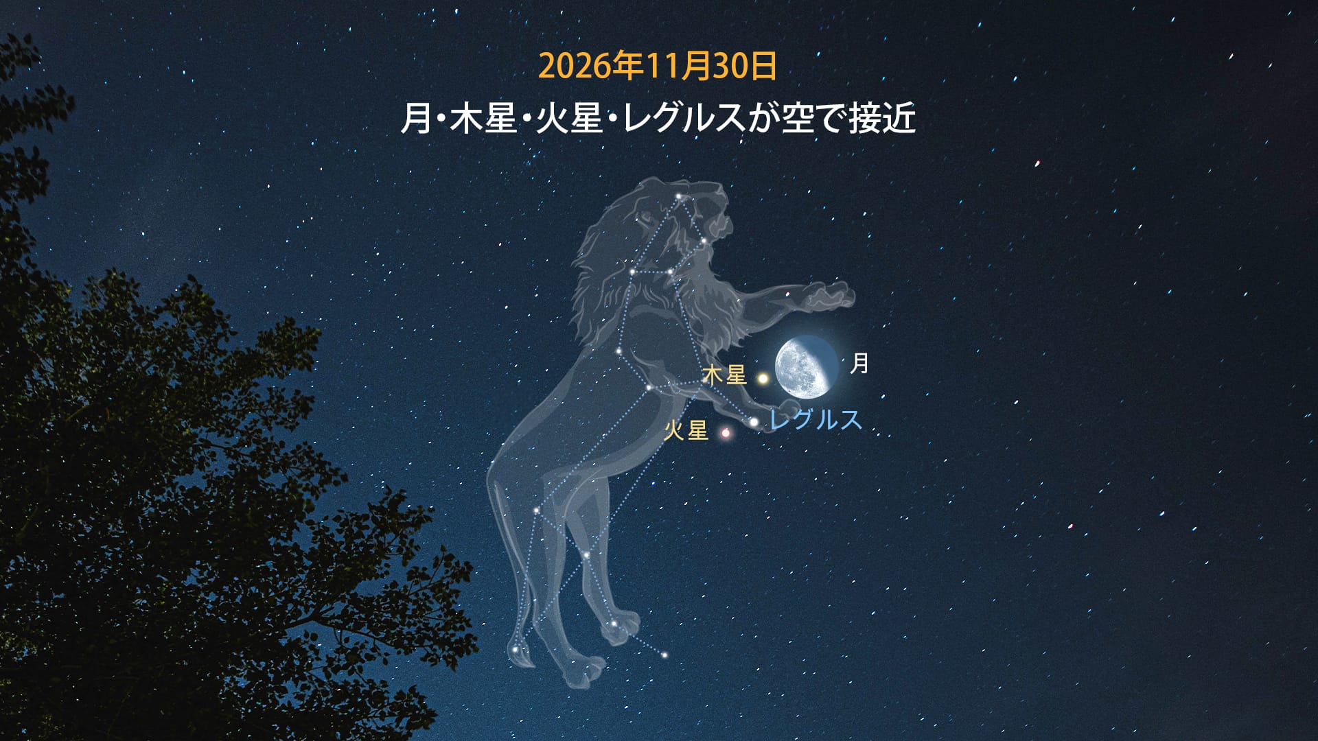 11月の共演:月、木星、火星、レグルス