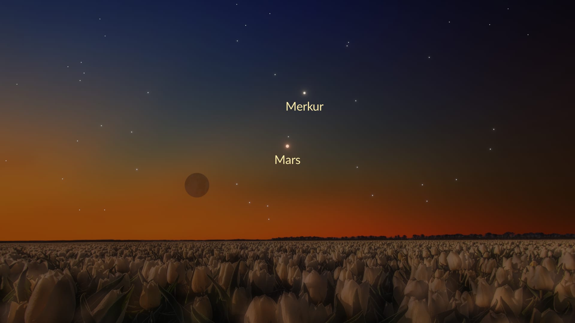 Moon near Mars and Mercury