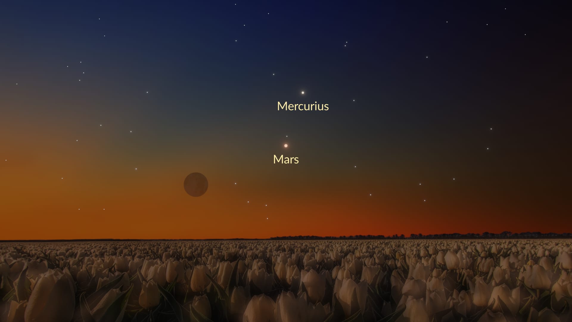 Moon near Mars and Mercury