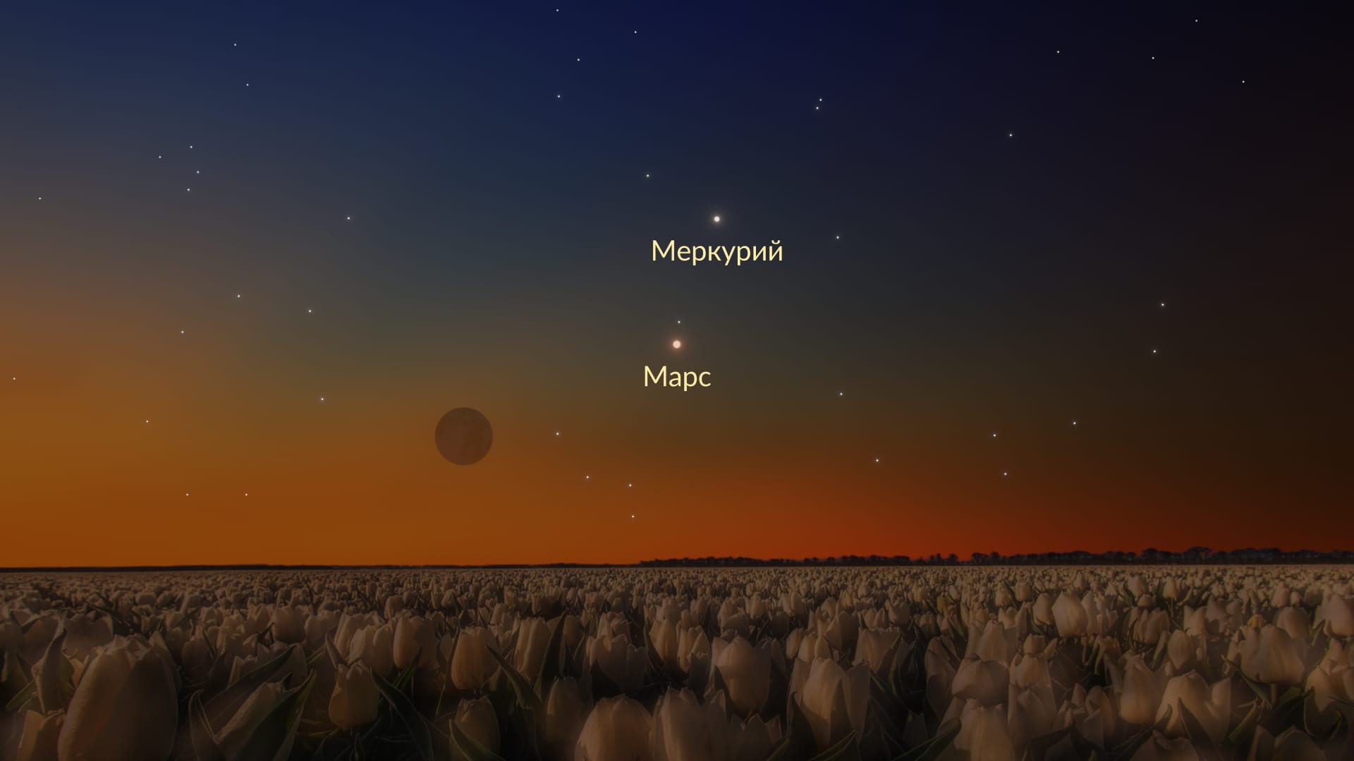 Moon near Mars and Mercury