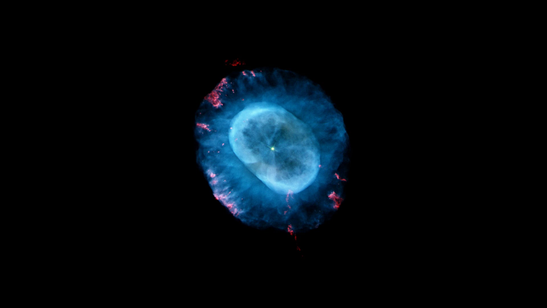 Blauer Schneeballnebel