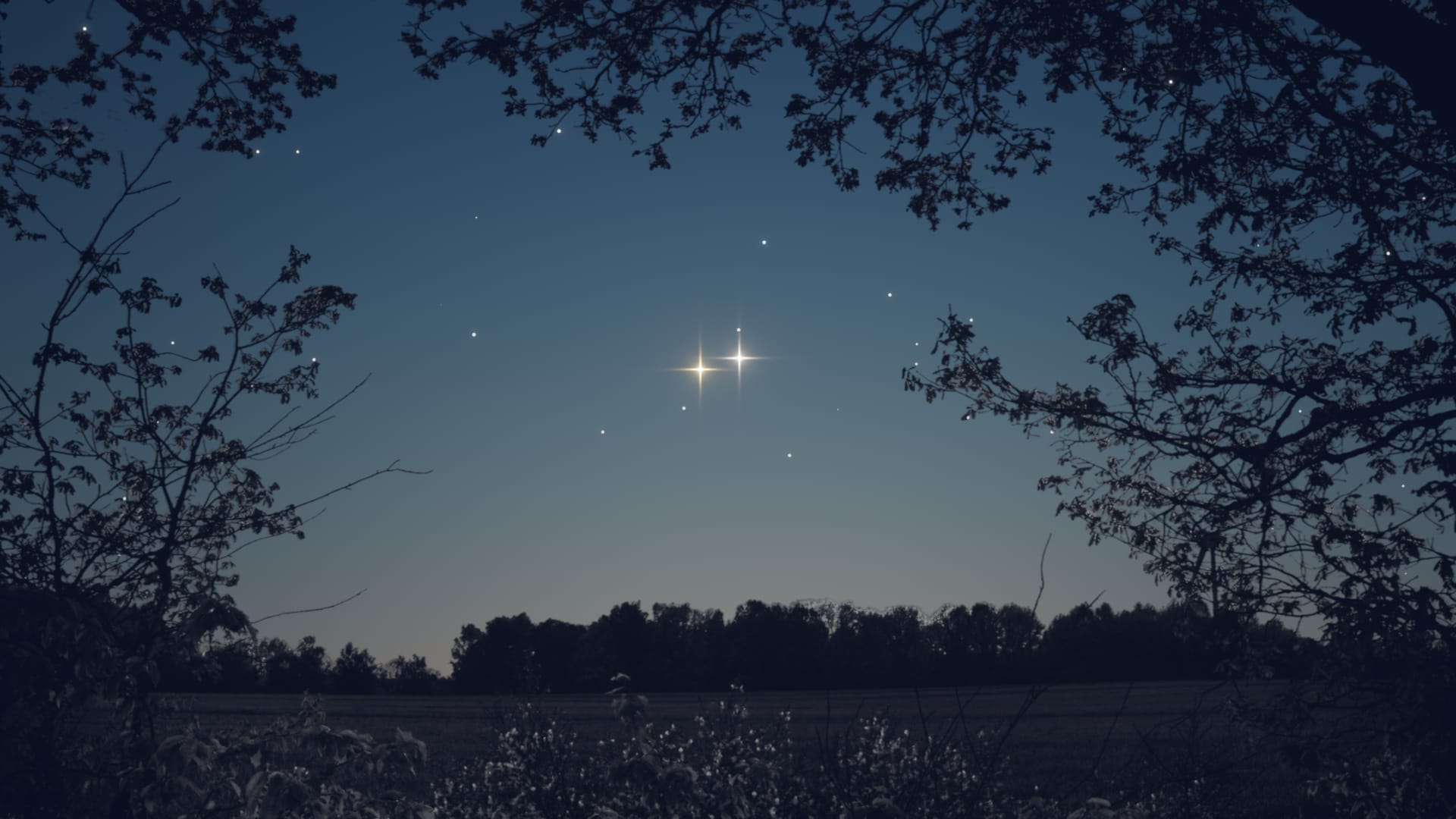 Лучшие события ночного неба в марте 2026 года: Венера рядом с Сатурном 8 марта