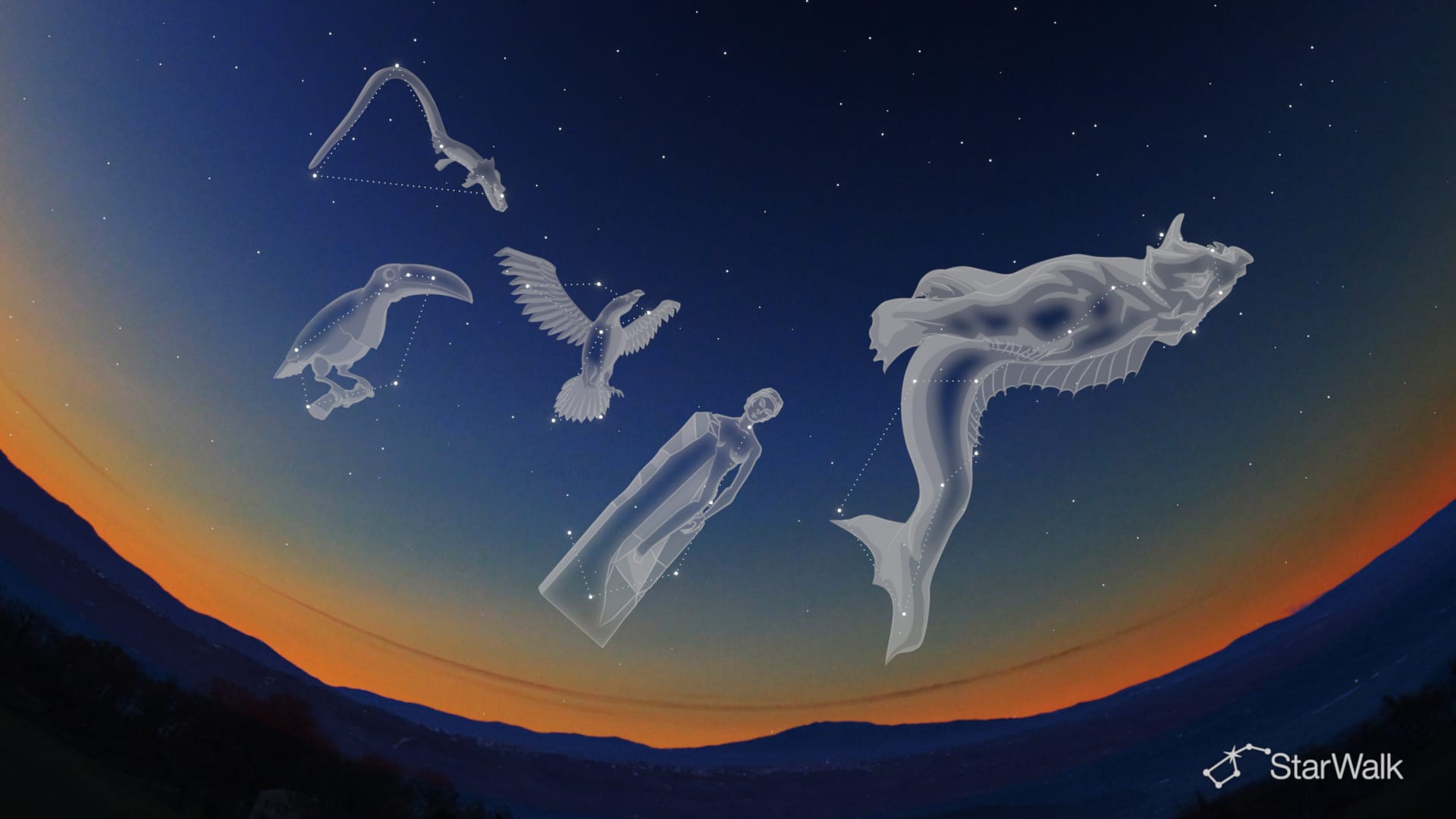 El cielo nocturno de noviembre: constelaciones del hemisferio sur