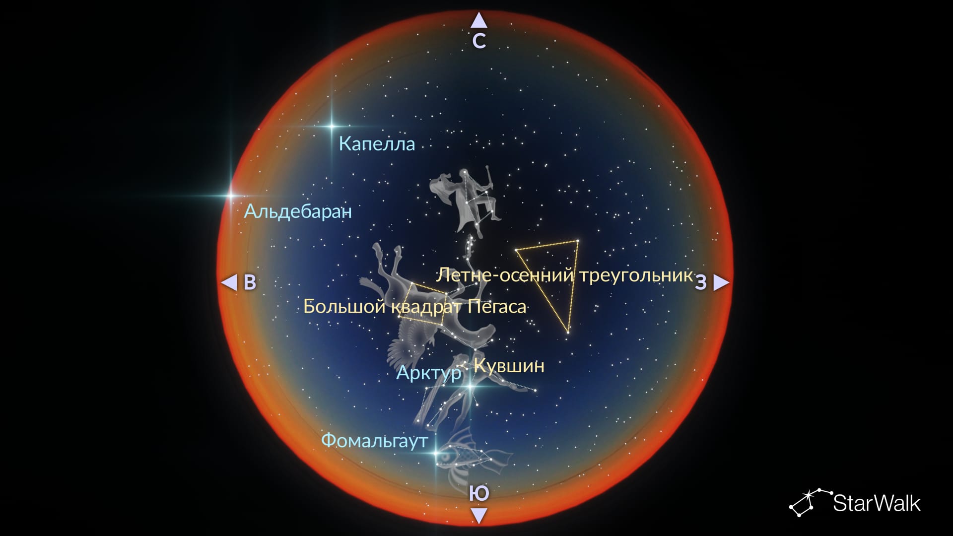 Ночное небо октября: созвездия Северного полушария
