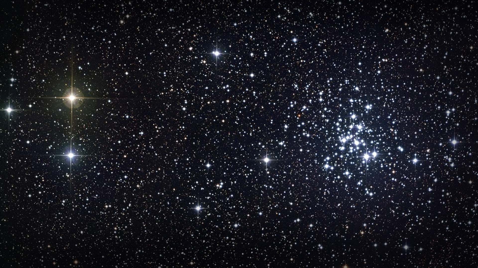Northern Jewel Box