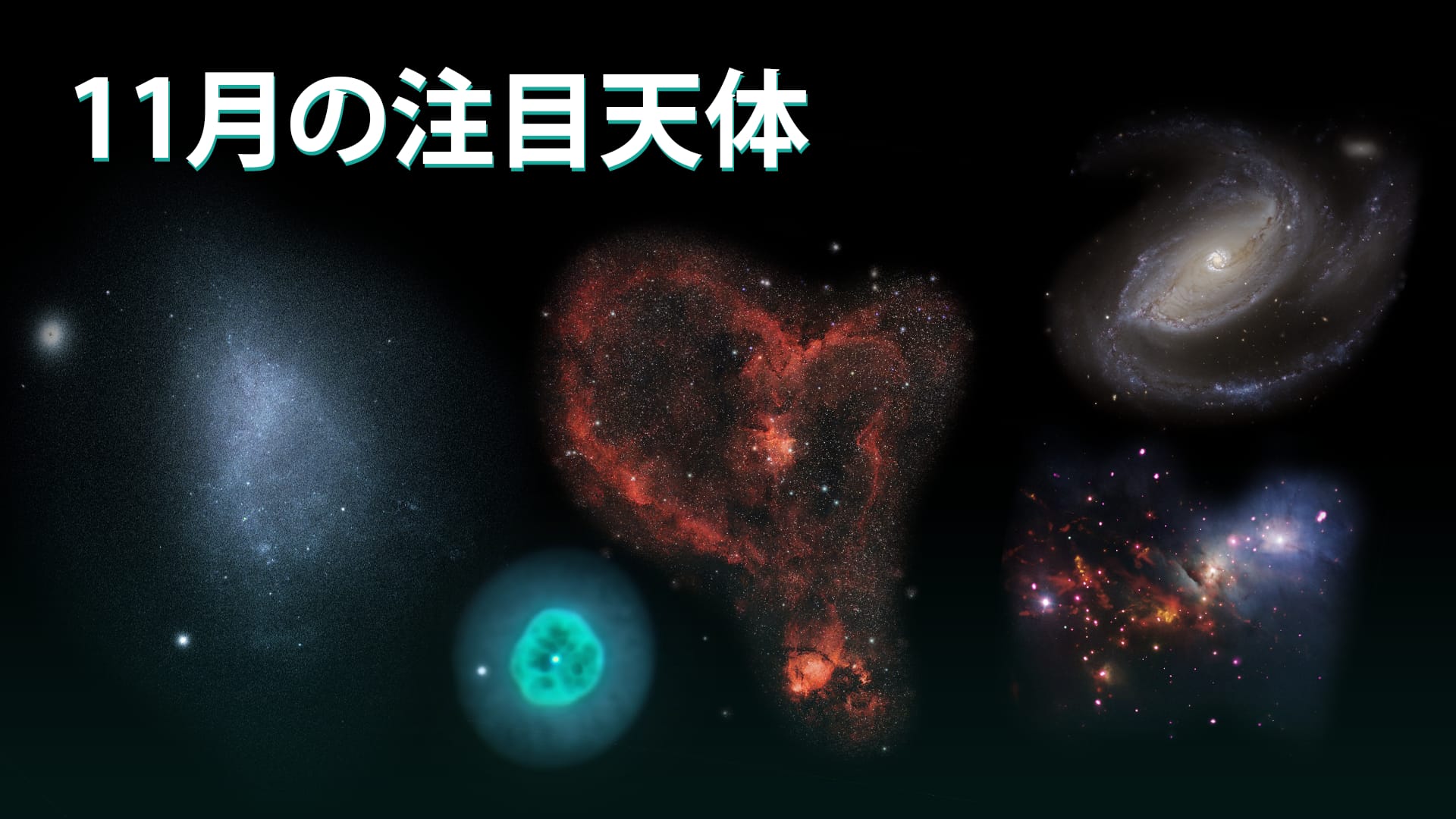 11月の注目天体