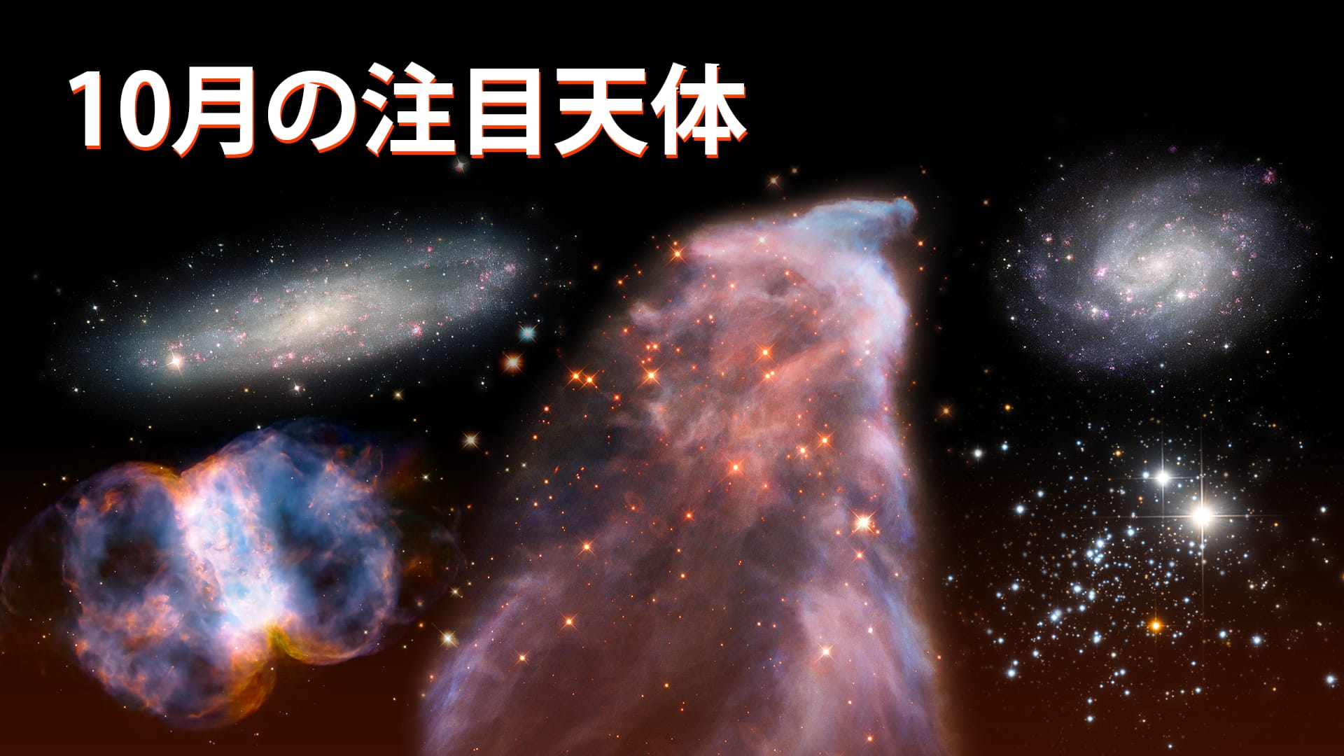 10月の注目天体