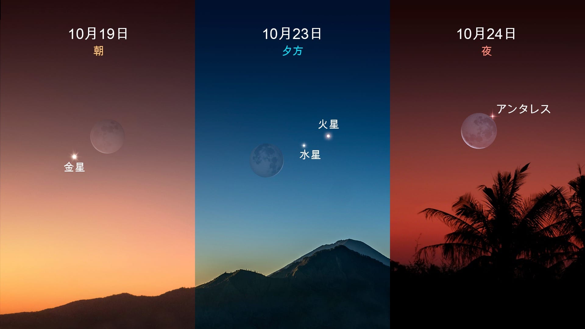 2025年10月の月のイベント