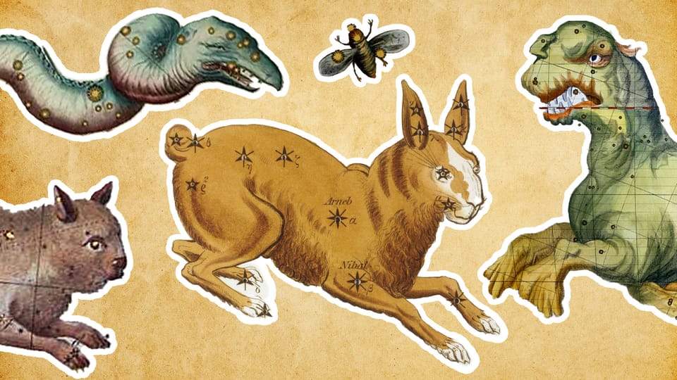 Созвездия на небе | Зодиакальные созвездия | Сколько созвездий на небе ...