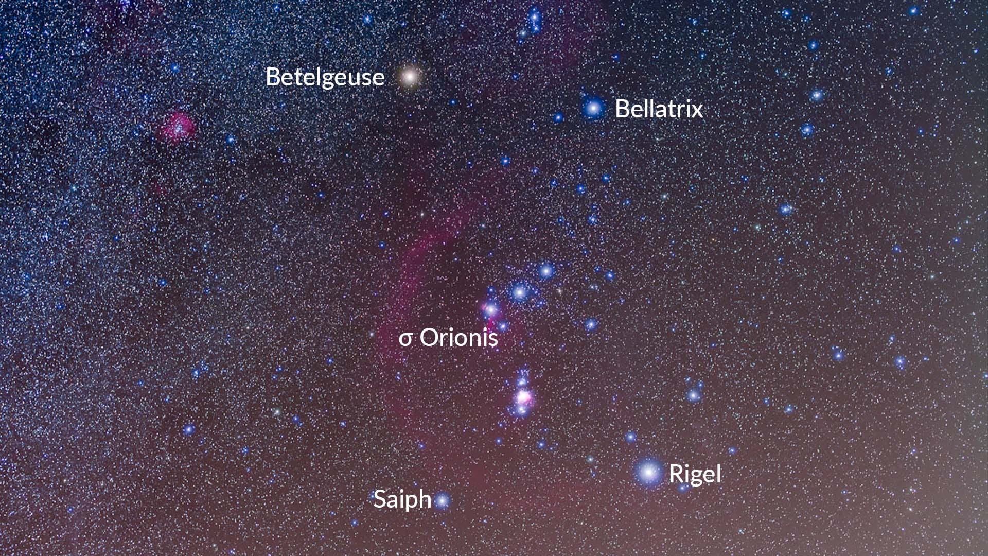 Orion's Brightest Stars