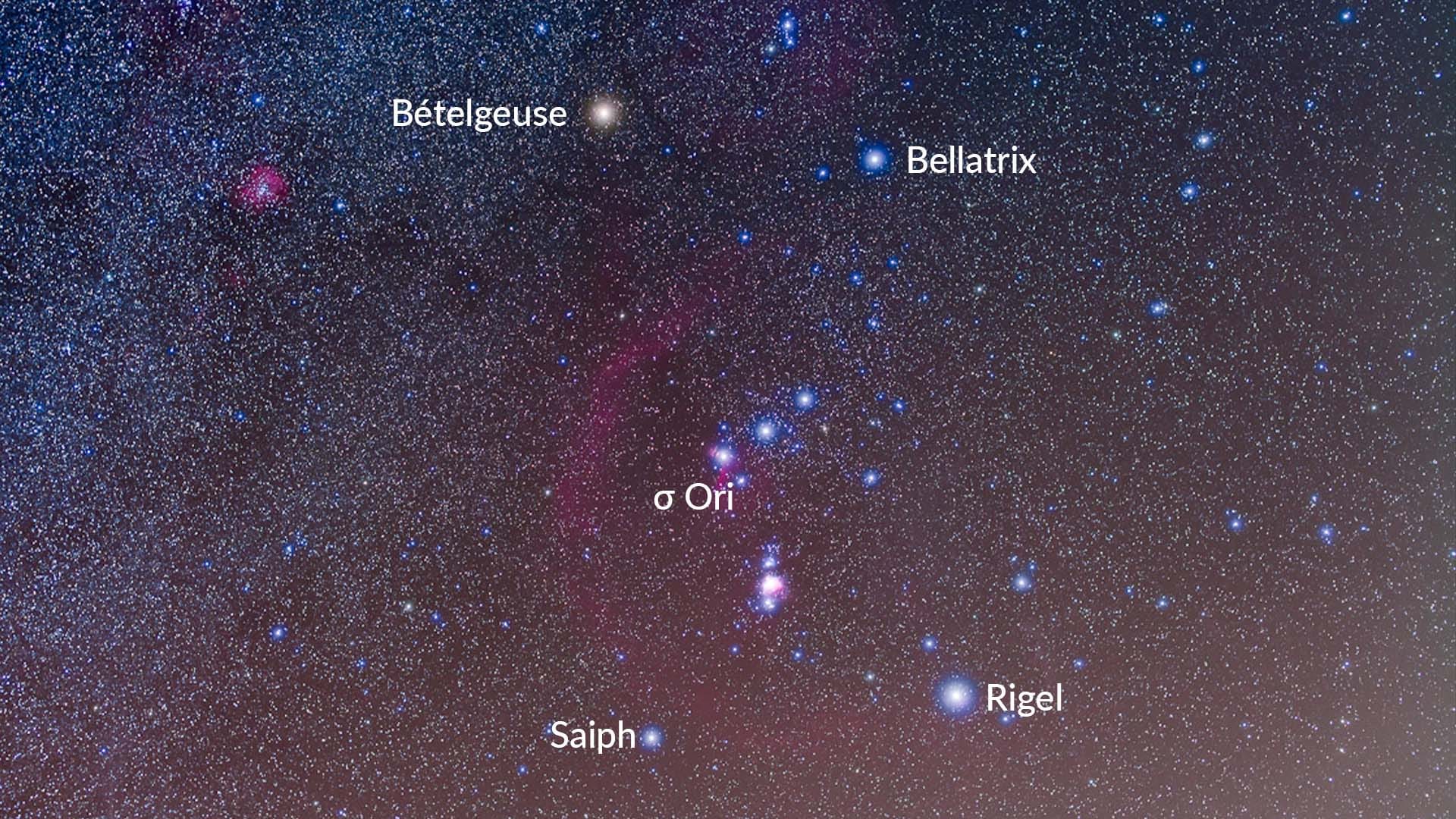 Orion's Brightest Stars