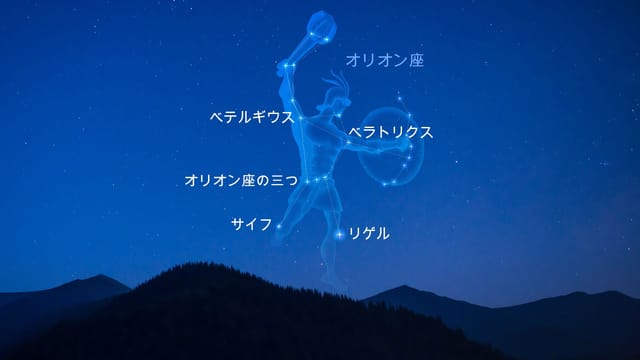 山添寛 ハリソン